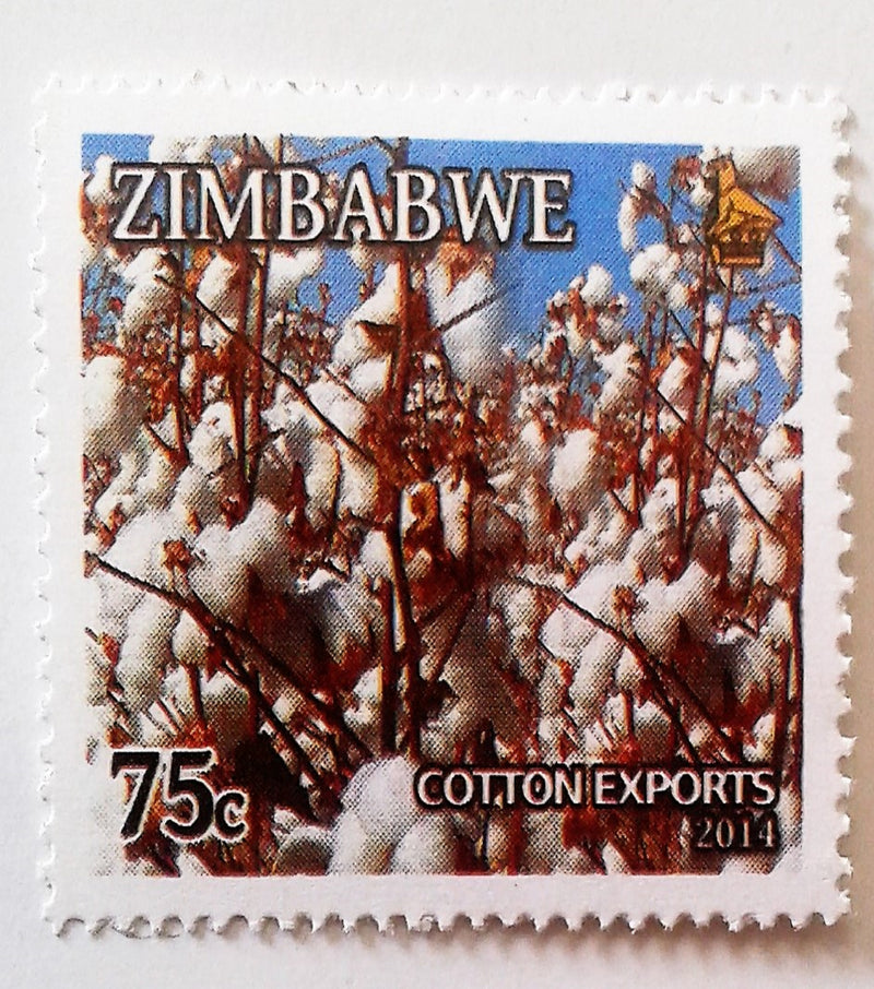 Main export crops - Cotton