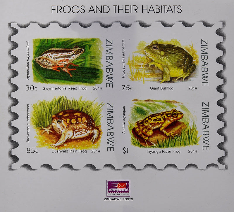 Frogs and their habitats mini sheets